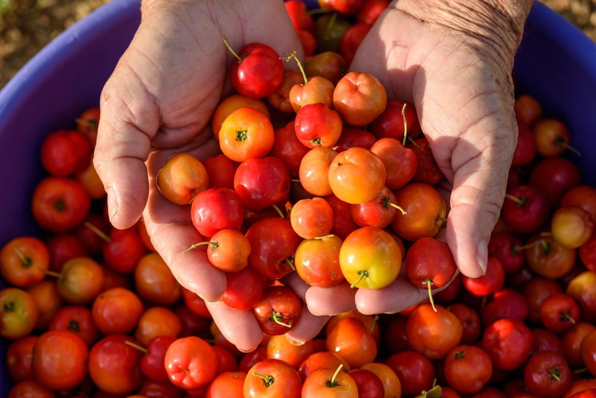 Fazenda Poco Das Pedras São João do Cariri エクステリア 写真